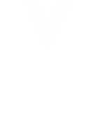 Logo Vanessa Menezes